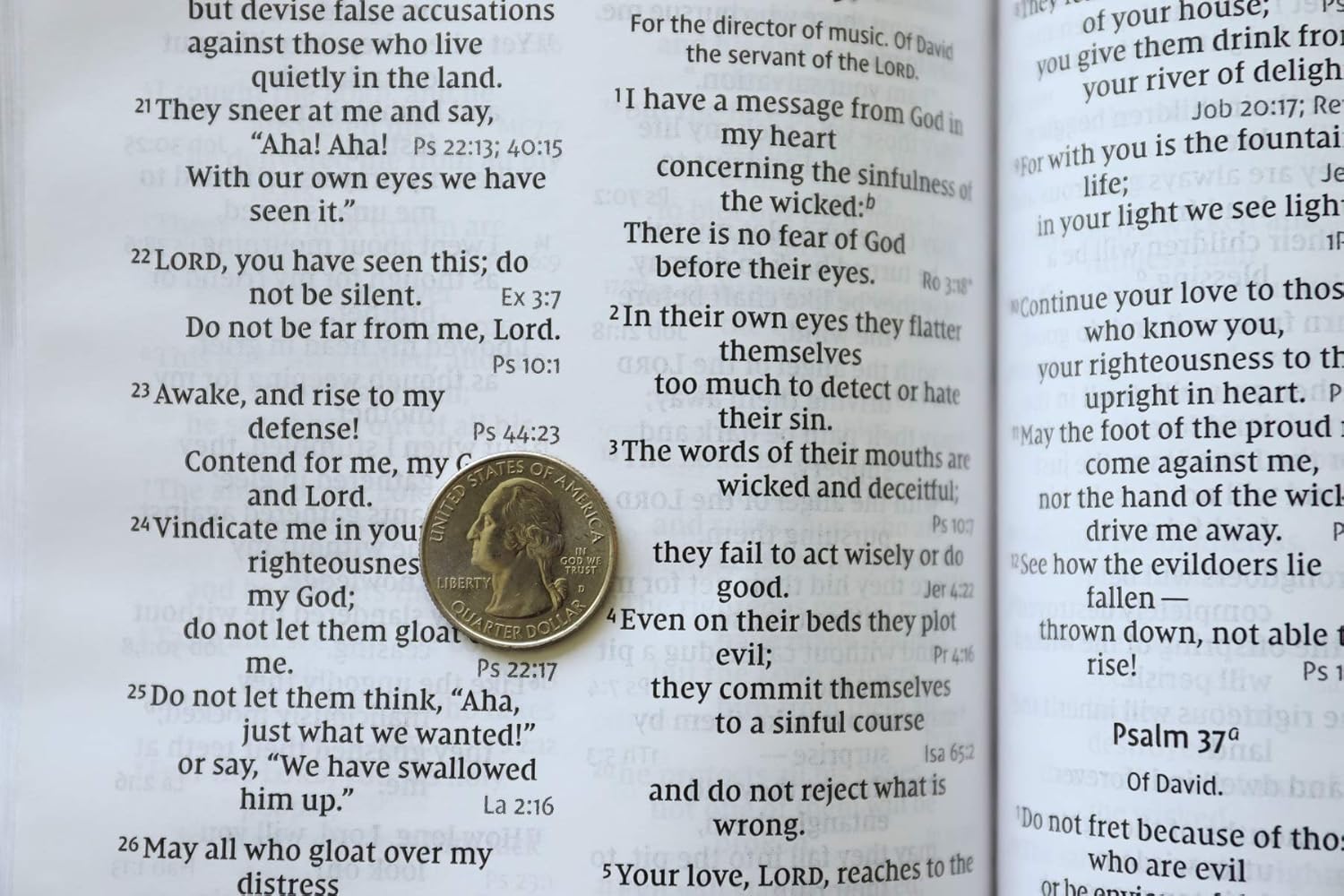 NIV, Personal Size Reference Bible, Large Print, Premium Leather, Calfskin, Black, Red Letter, Comfort Print