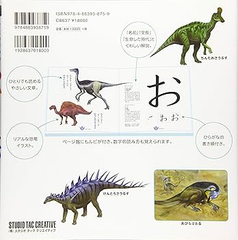 81U8KsOXKEL._AC_UF350,