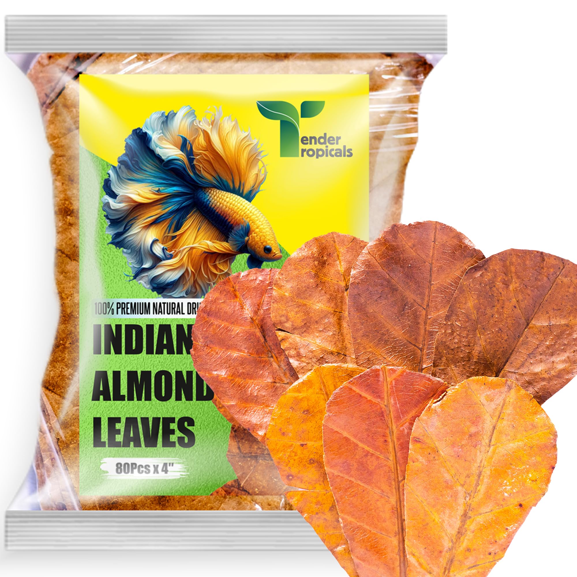 Tender Tropicals 80-Pack 4"