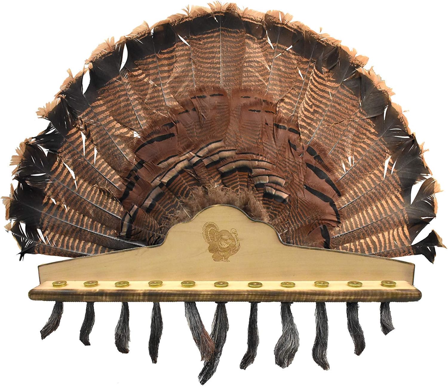 Turkey Beard Plaque with Fan Mount- Engraved Hardwood