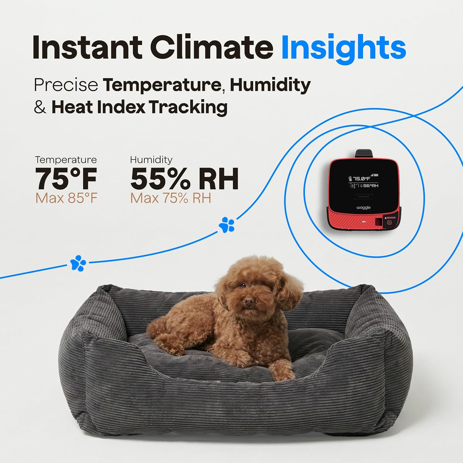 Waggle 4G LTE Pet Monitor PRO + RV Mini Camera - Cellular Temperature & Humidity Monitor, Real-time Alerts - RV/Camper/Van/Car Monitoring - Subscription Required 4 81U8mpSWvSL. AC SL1500