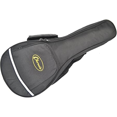 mandolin soft case