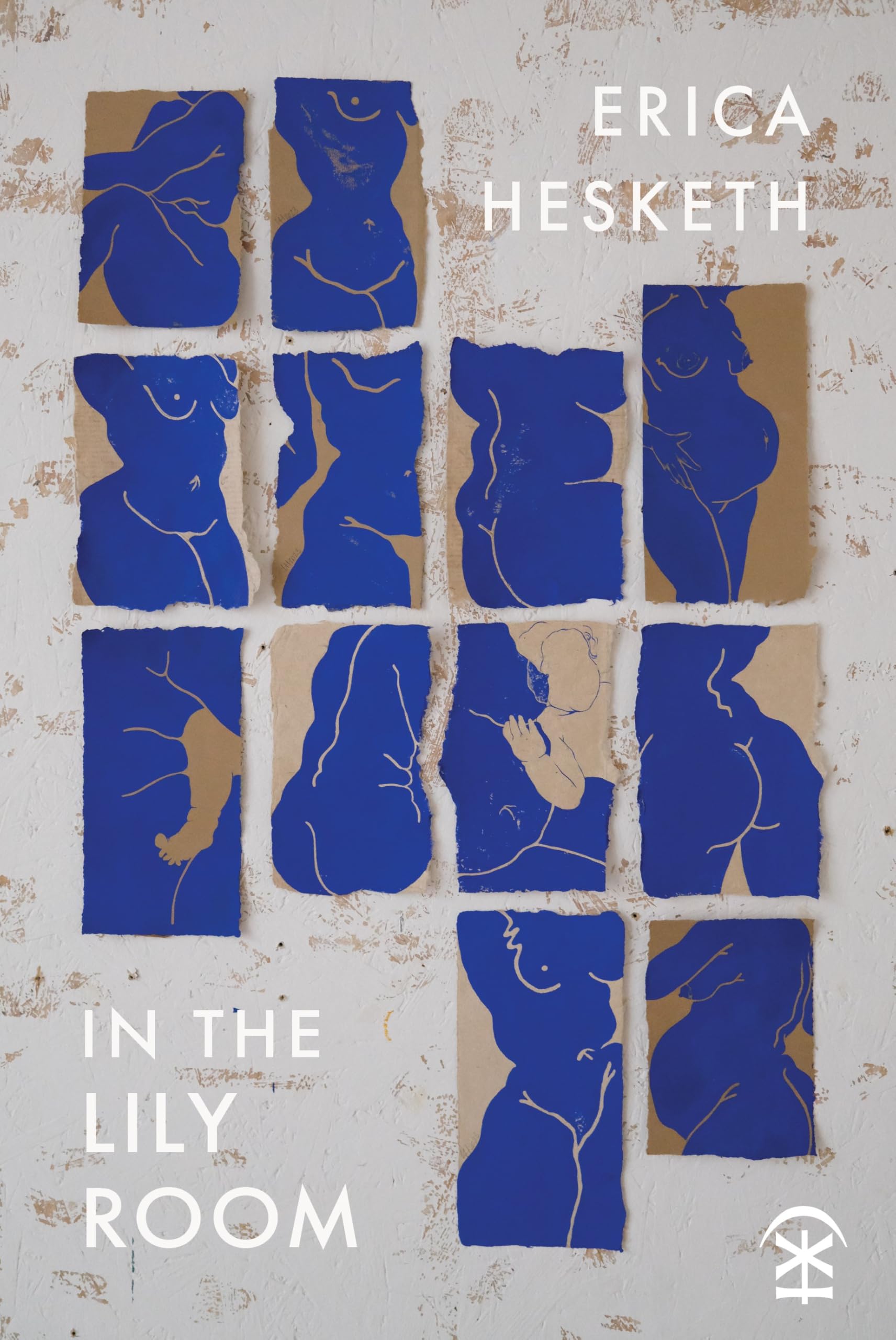 In The Lily Room by Erica Hesketh (Paperback Book)