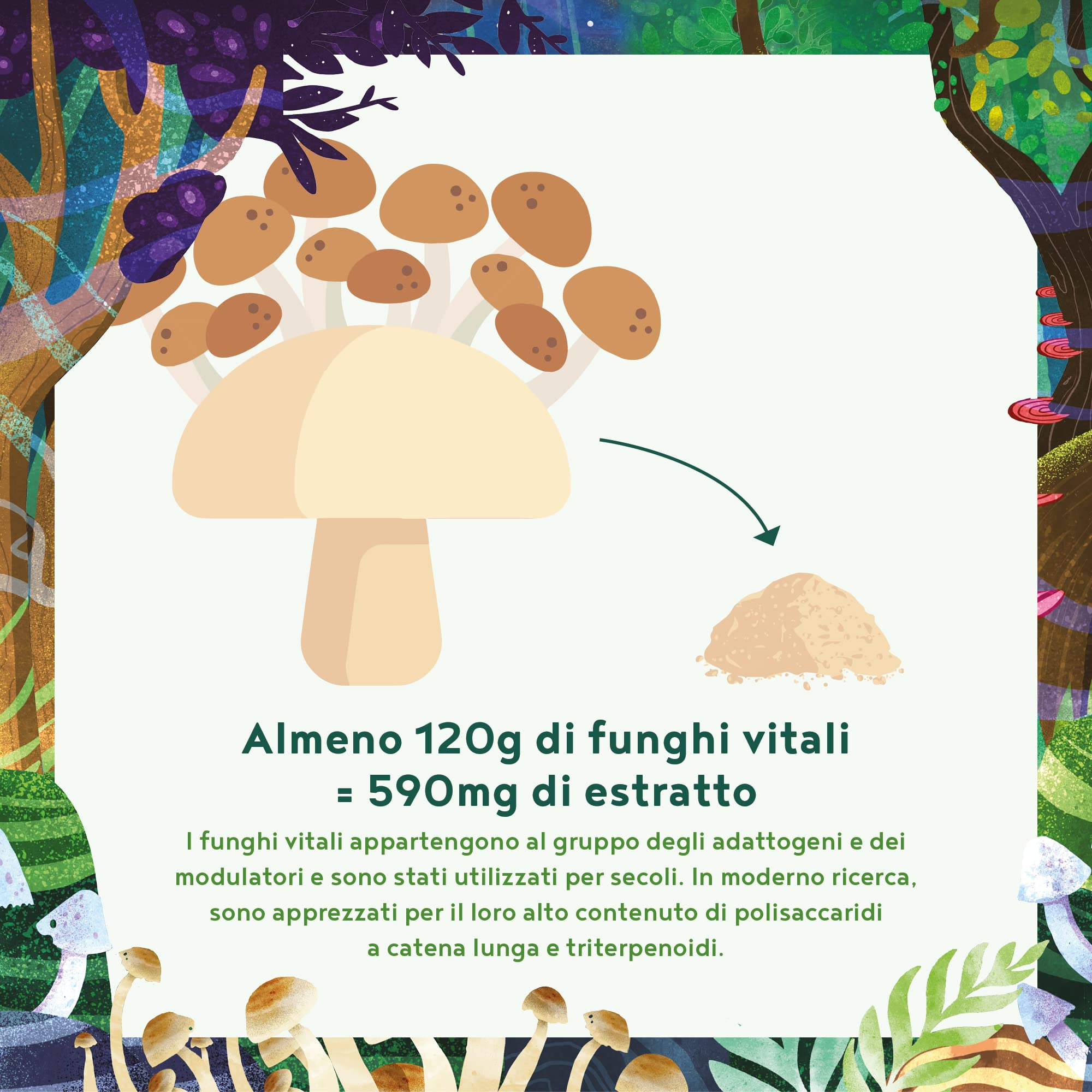 Funghi Funzionali con Maitake, Funghi Shiitake, Cordyceps, Fungo Reishi, Agaricus, Lions Mane | Integratore Multivitaminico Completo per Difese Immunitarie Adulti e Salute del Cuore | Alpha Foods