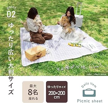限定ピクニックシート 81U8u2XHZhL._AC_UF350,