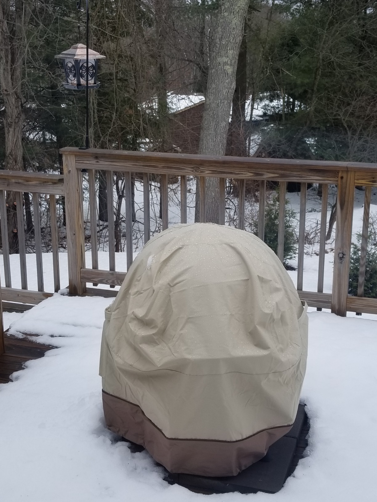 Classic Accessories Veranda WaterResistant 30 Inch Globe