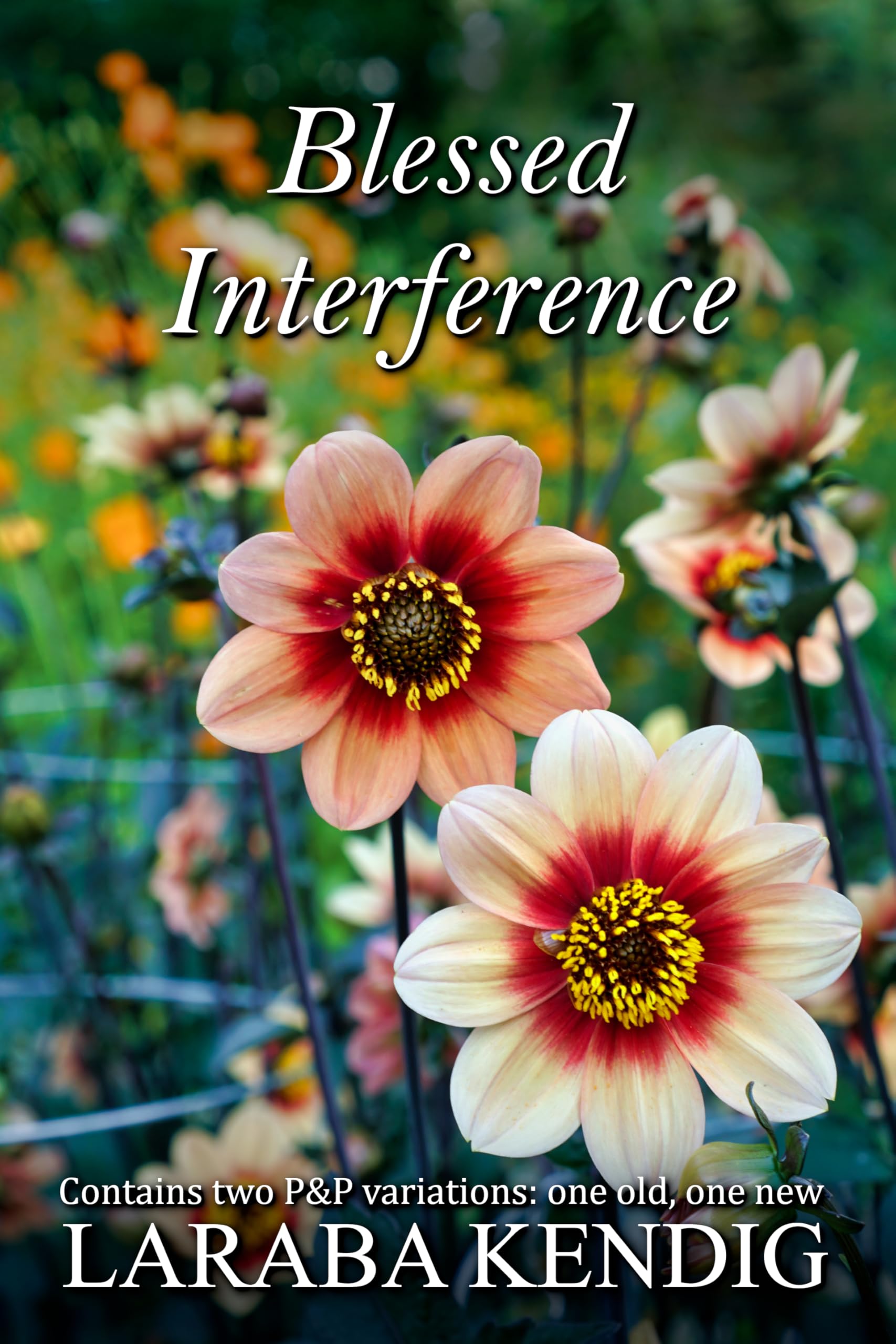 Blessed Interference: Pride and Prejudice Variations
