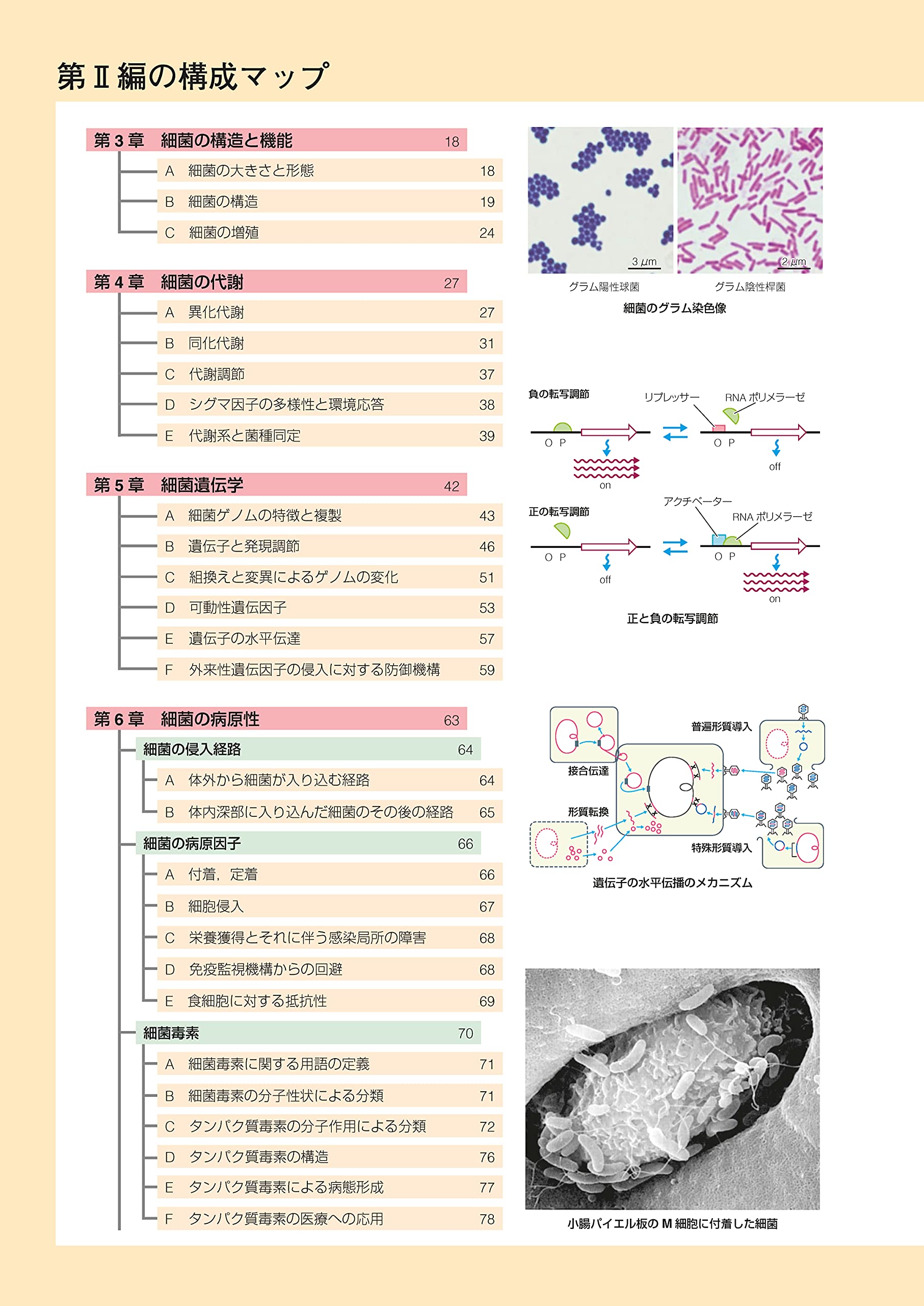 Amazon.co.jp: 医学書院ストア: 標準医学シリーズ