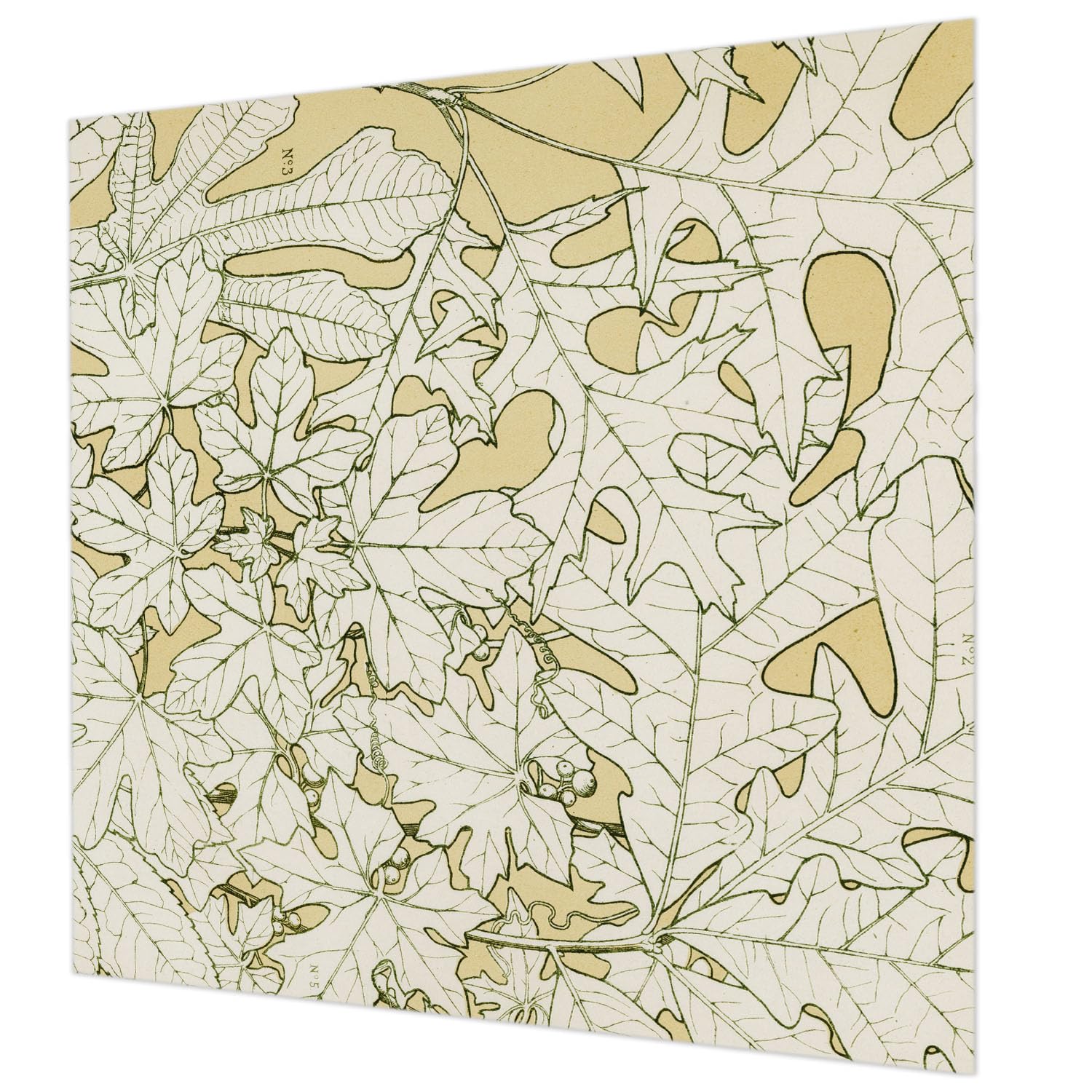 Papier peint intissé 250x250 impression haute qualité feuilles d'arbre
