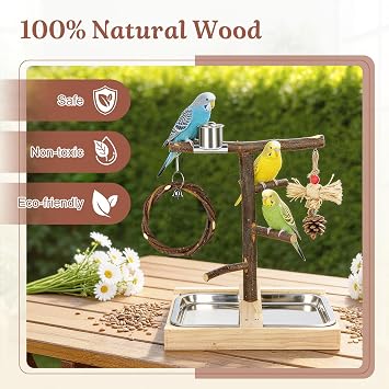 Bird Playground Natural Wooden Parrot Play Stand | Apple Branch Swing, Chew Toys, Feeding Cups, Suitable for Small and Medium Birds Like Parakeets, Budgerigars, Cockatiels