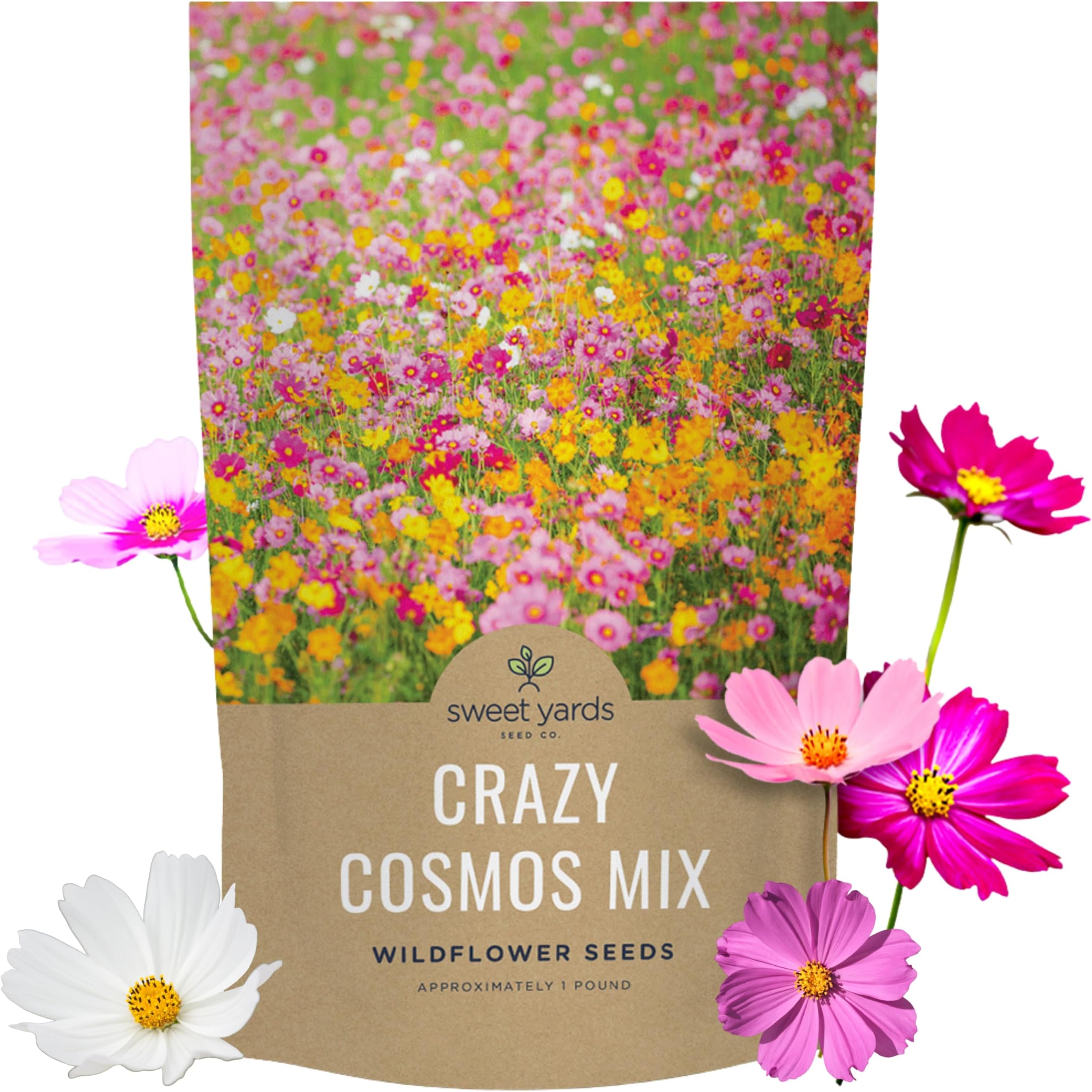 Bulk Cosmos Seeds Wildflower Mixture - 1 Pound Bag - Over 80,000 Seeds - Pink, Yellow, Orange, Red, Purple and White Mixed Species!