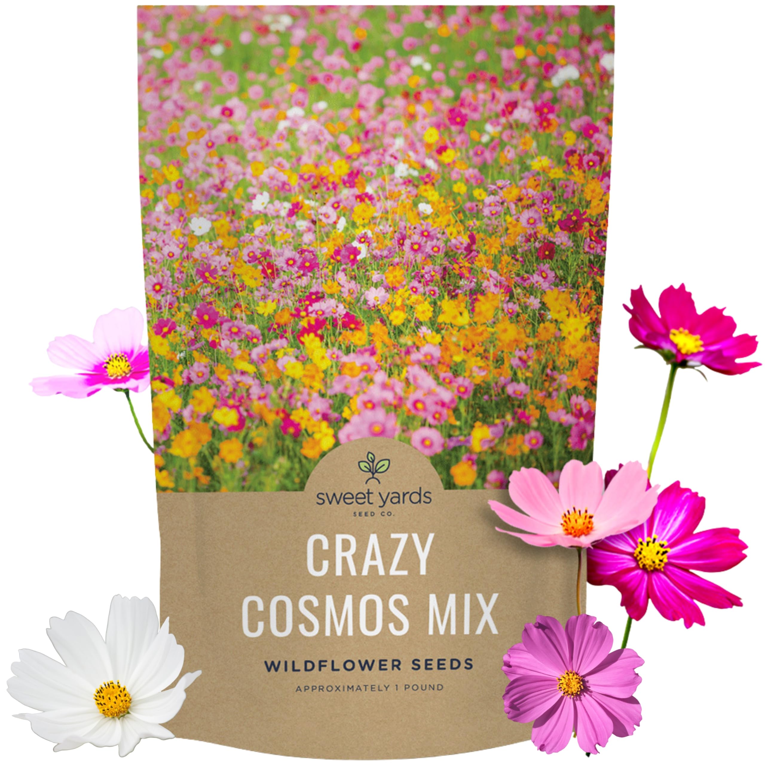 Bulk Cosmos Wildflower Seeds