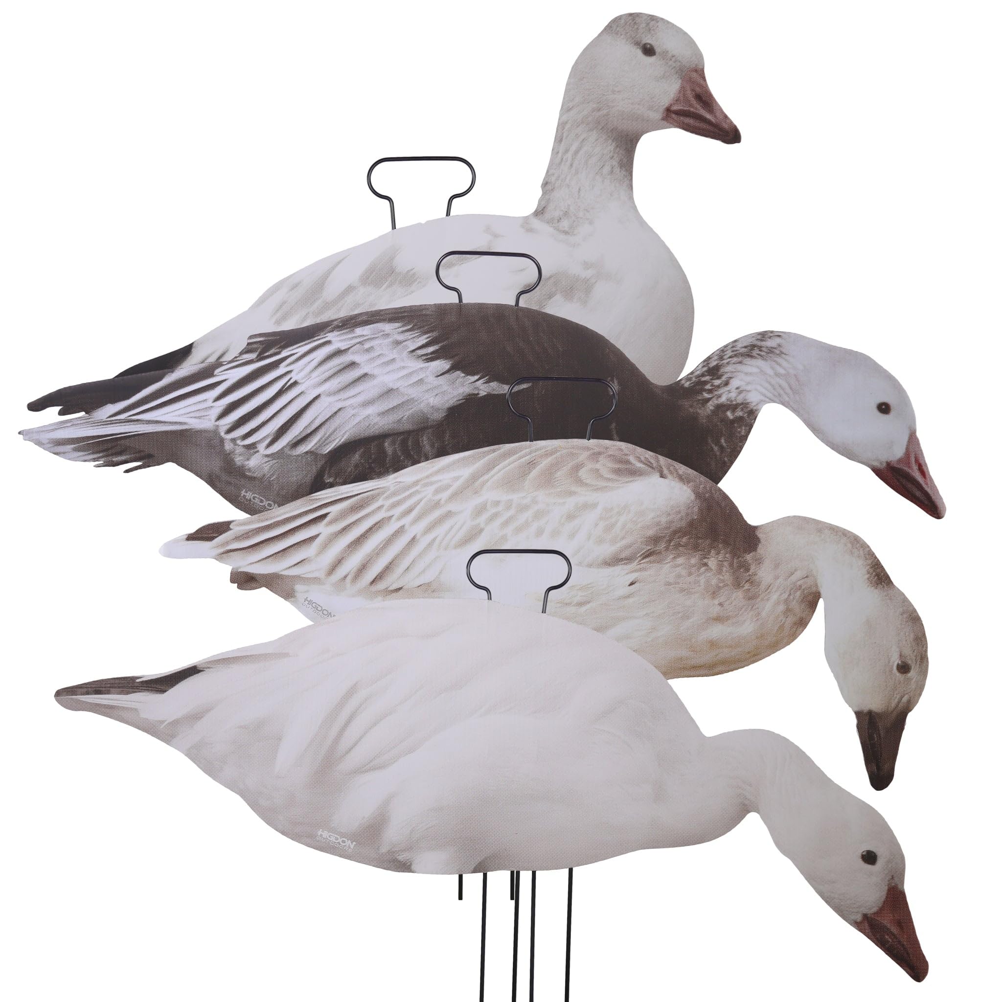 Higdon Outdoors Flats Snow & Blue Goose Standard Silhouette Waterfowl Decoy, 12-Pack