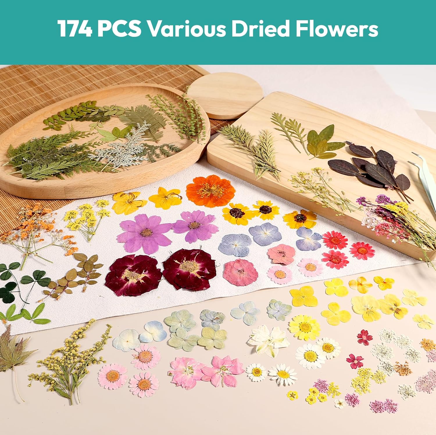 Resiners UV Light & Resiners 58PCS Dried Pressed Flowers - Wireless & Rechargeable UV Lamp for Resin Molds, Jewelry Making, Scrapbooking DIY Art Crafts, Epoxy Resin Jewelry Molds