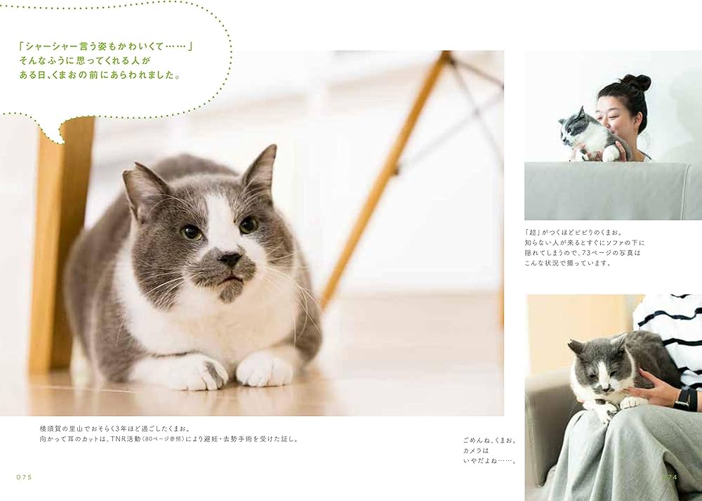 元・保護猫と世界一幸せに暮らす方法 | 白岩 千鶴子, 主婦の友社 |本