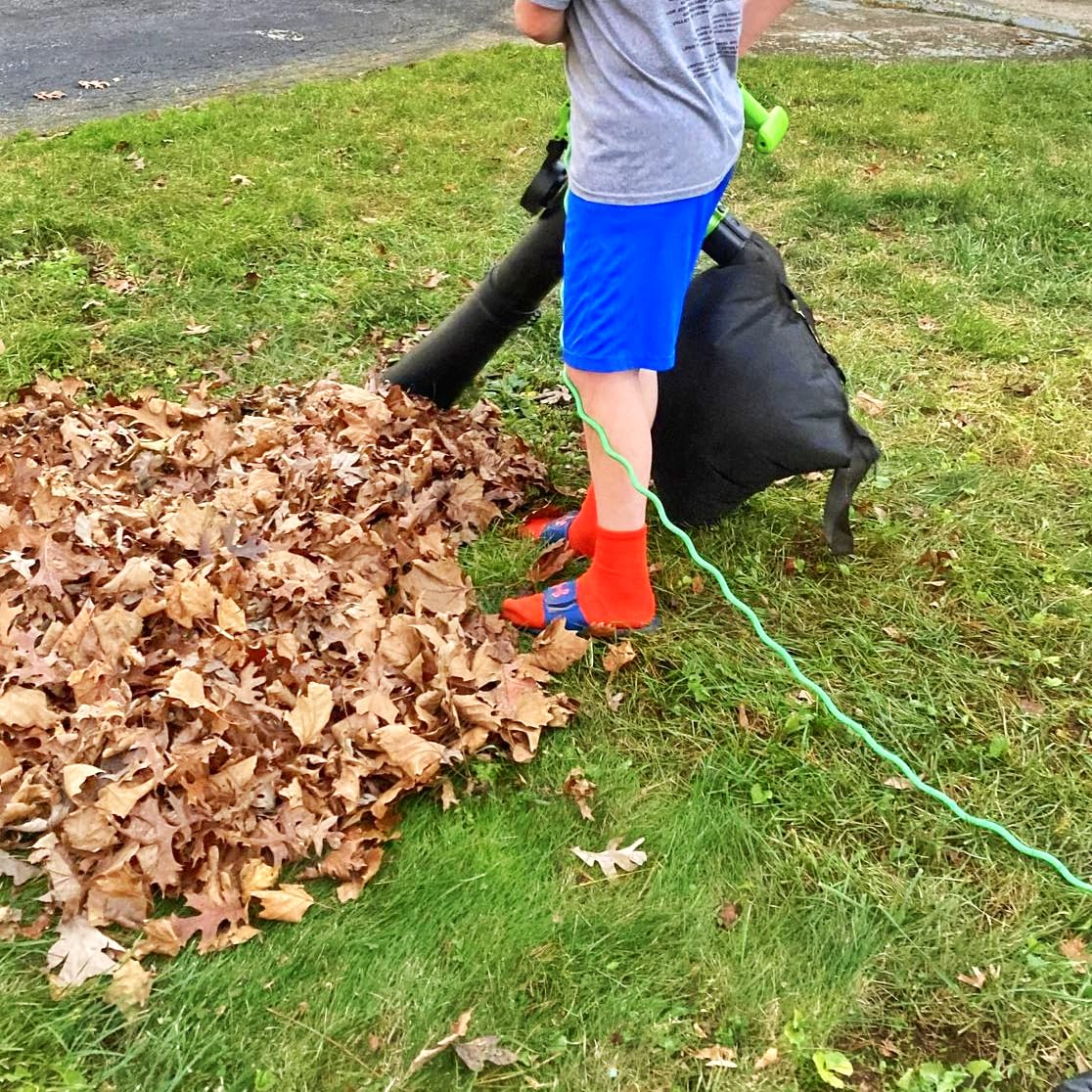 新品24-25NOVEMBER ARTISVE145cm Amazon.com: Generic Leaf Blower & Leaf Vacuum/Efficient