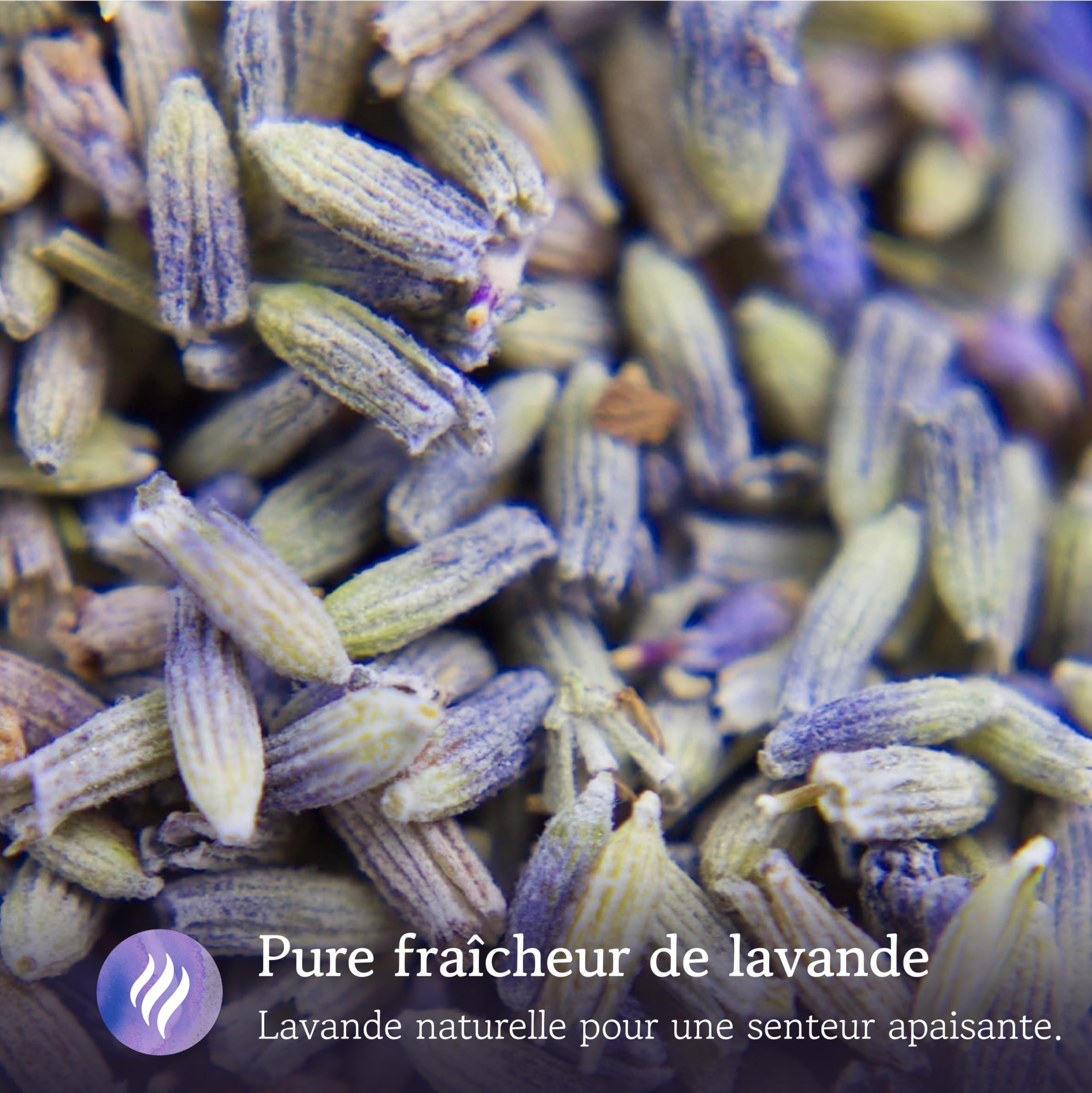 LAVODIA Sachets Parfumés Lavande - 20 Sachets de 6 g pour Armoire, Linge et Placard - Désodorisant Lavande Séchée pour Maison et Voiture - Parfum pour Une Fraîcheur Apaisante et Longue Durée