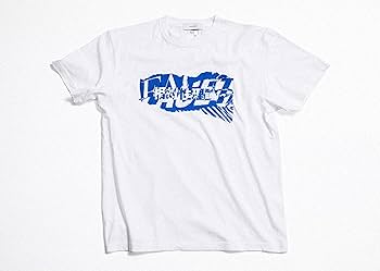 Amazon.co.jp: 「調べる相対性理論」数量限定 高音質45回転12