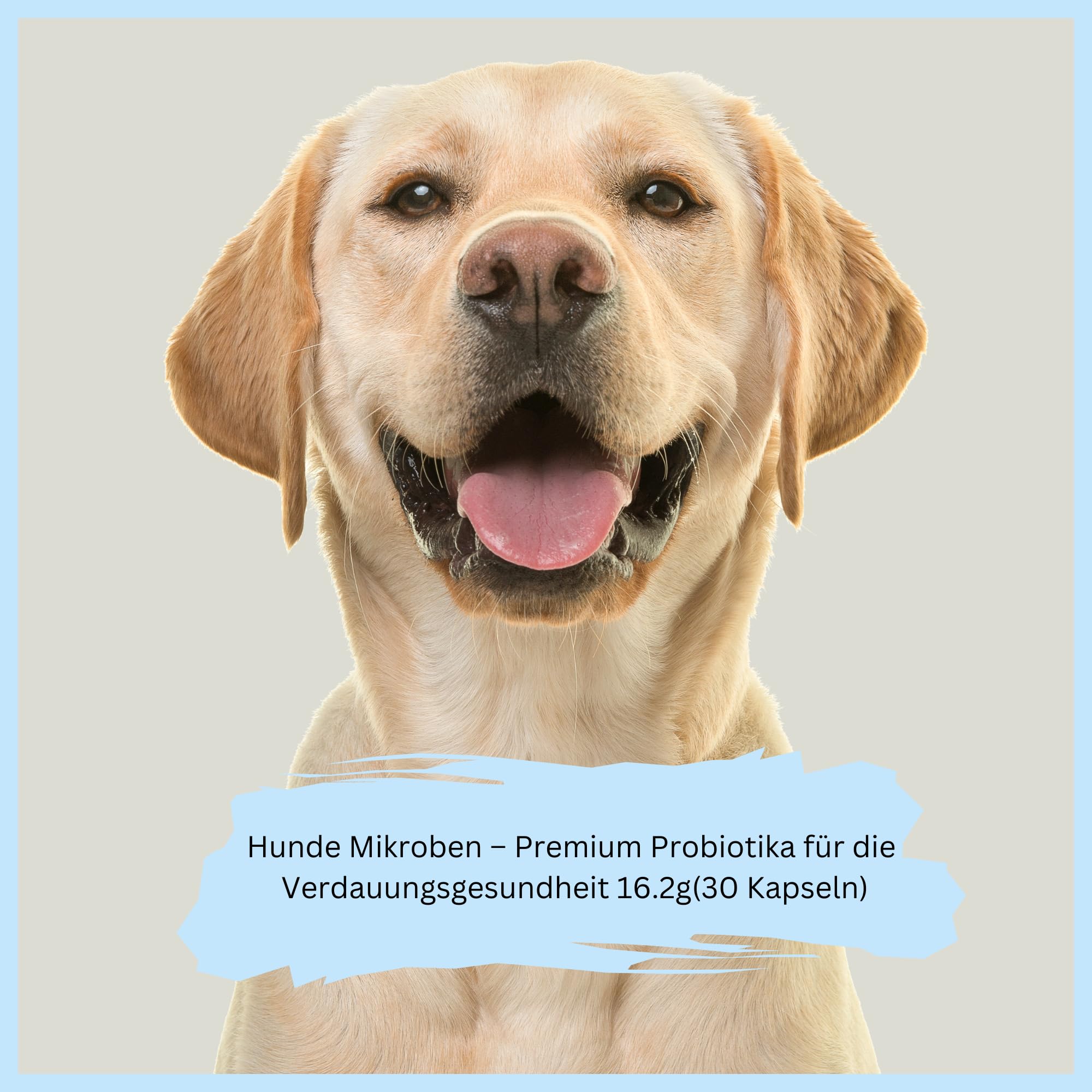 Mikroby dla psów – probiotyki premium dla zdrowia trawienia (30 kapsułek)