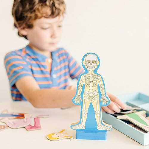 Miniatura 2 de Set de juego magnético de anatomía del cuerpo humano, con 24 piezas y bandeja de almacenamiento, de la marca Melissa & Doug