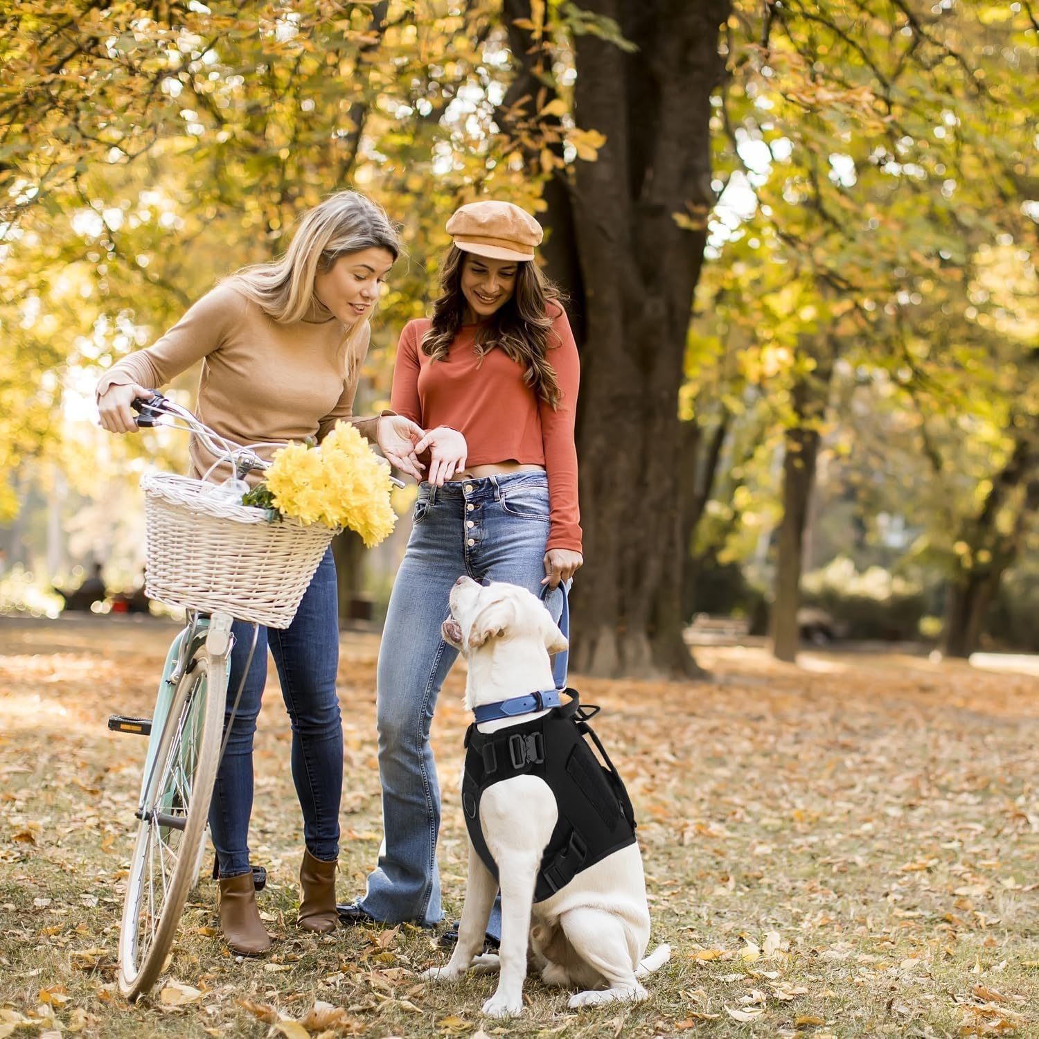 Arnés Táctico para Perros de Alta Resistencia, Antitirones para Perros Medianos y Grandes, Chaleco Ajustable con Asa Acolchada y Malla Transpirable para Entrenamiento, Caza y Paseo,Negro,M