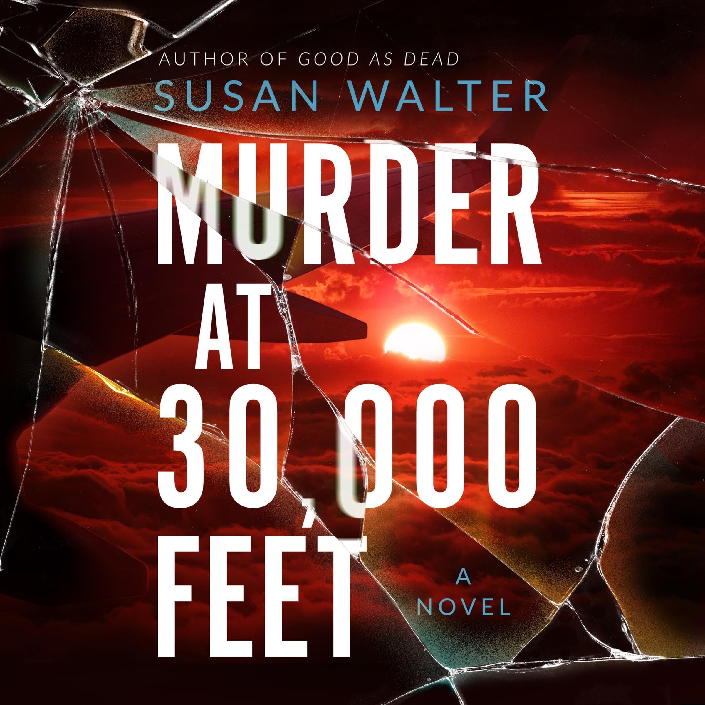 Cover art for Murder at 30,000 Feet