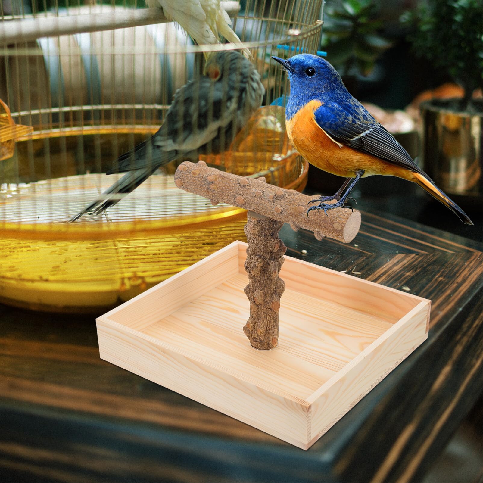 Toddmomy Perchoir pour Oiseaux Naturel Support pour Perroquets Et Oiseaux De Compagnie Accessoire De Et Entraînement