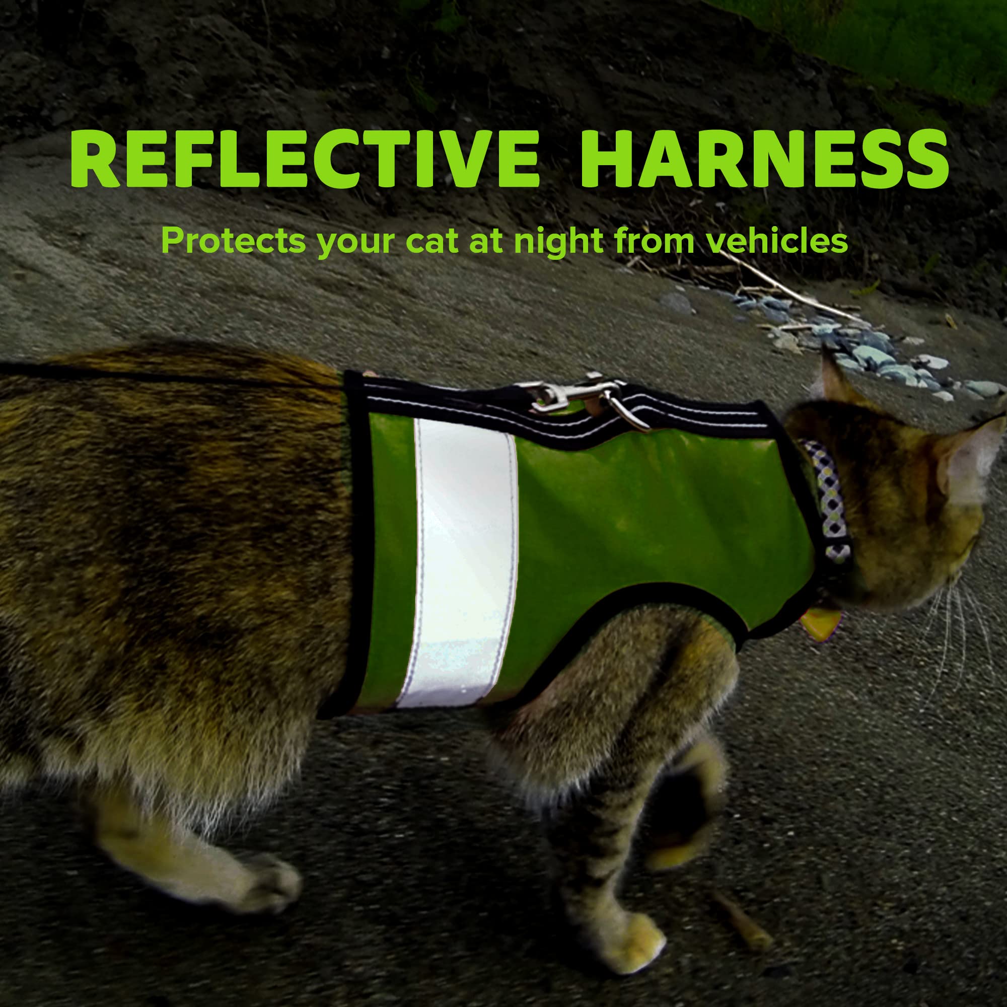 Kitty Holster Pet Harness