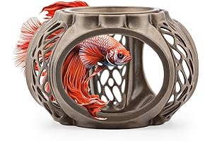 Betta Lair: Sanctuary for Your Aquatic Friend