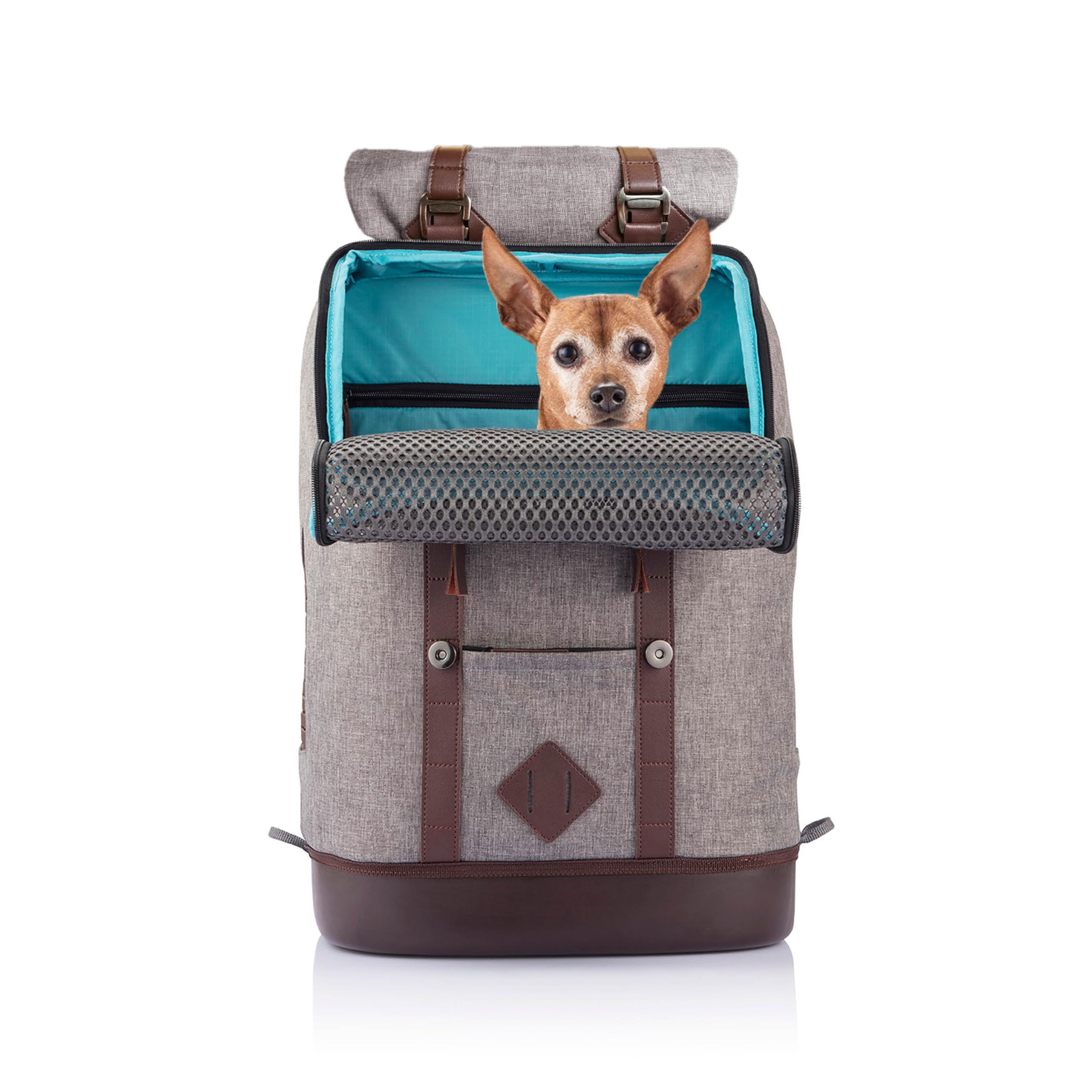 Kurgo Mochila Transportín para Mascotas Pequeñas | Manos Libres, Base Armorsole, Convertible en Transportín, Tela Resistente