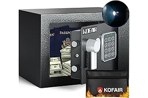 Qowaer Safe Box: Home, Office, and Travel Security