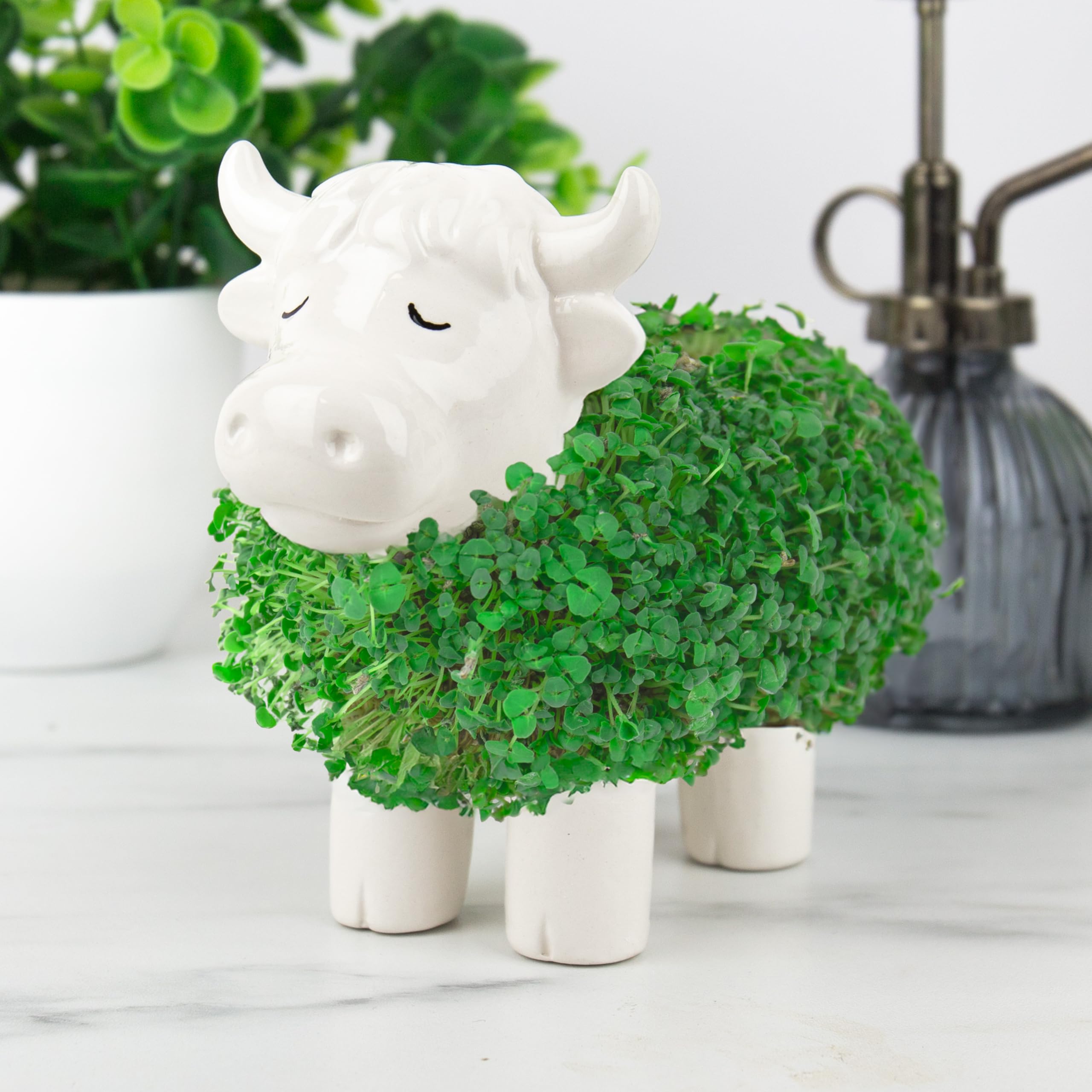 Jardinière en forme de vache des Highland Chia - Joli ornement de bureau en forme d'animal, mini kit de jardin pour cultiver votre petite plante pour enfants et adultes
