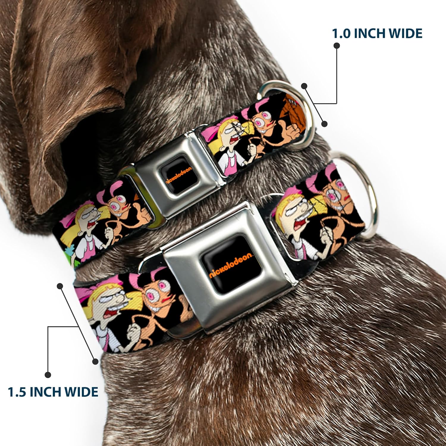 Nickelodeon Pet Collar, Dog Collar Metal Seatbelt Buckle, Nick 90s Character Poses Black, 11 to 16.5 Inches 1.0 Inch Wide