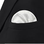 S&W SHLAX&WING Paisley Pocket Squares pour les vêtements pour hommes XL Grand pour les fêtes de mariage Silky Touch