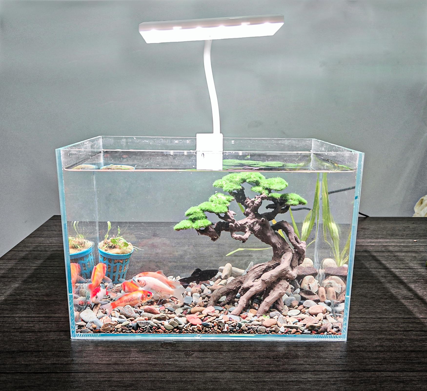 Novelsite Aquarium Dekoration Bonsai Bäume auf Felsen mit künstlichem Moos aus Steinzeug für Goldfische und Bettas
