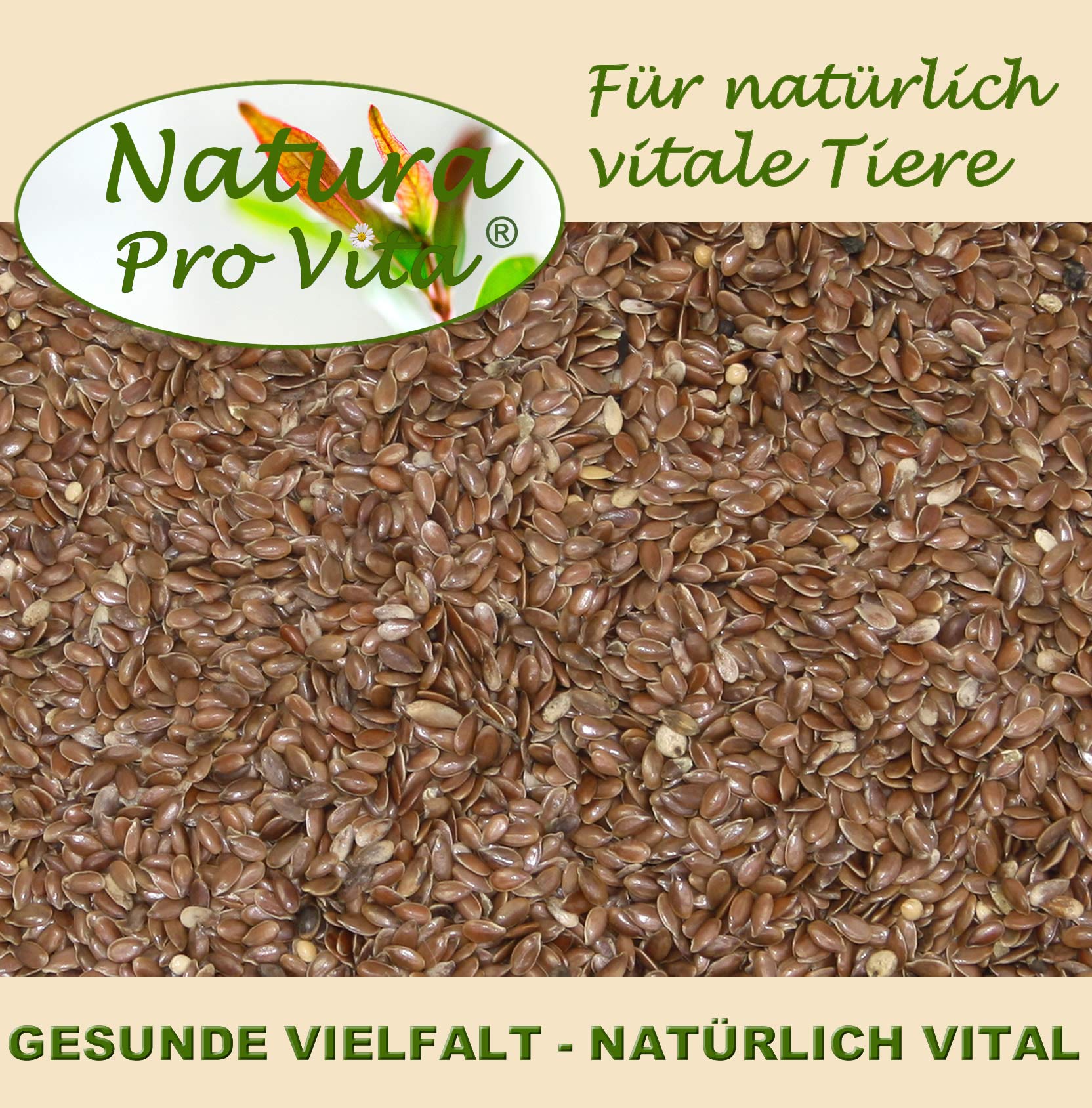 Leinsamen Nager Kaninchen ganze braune Leinsaat Omega-3 Fettsäuren Leinöl Magen Darm Verdauung gesunder energiereicher Nagersnack 20kg