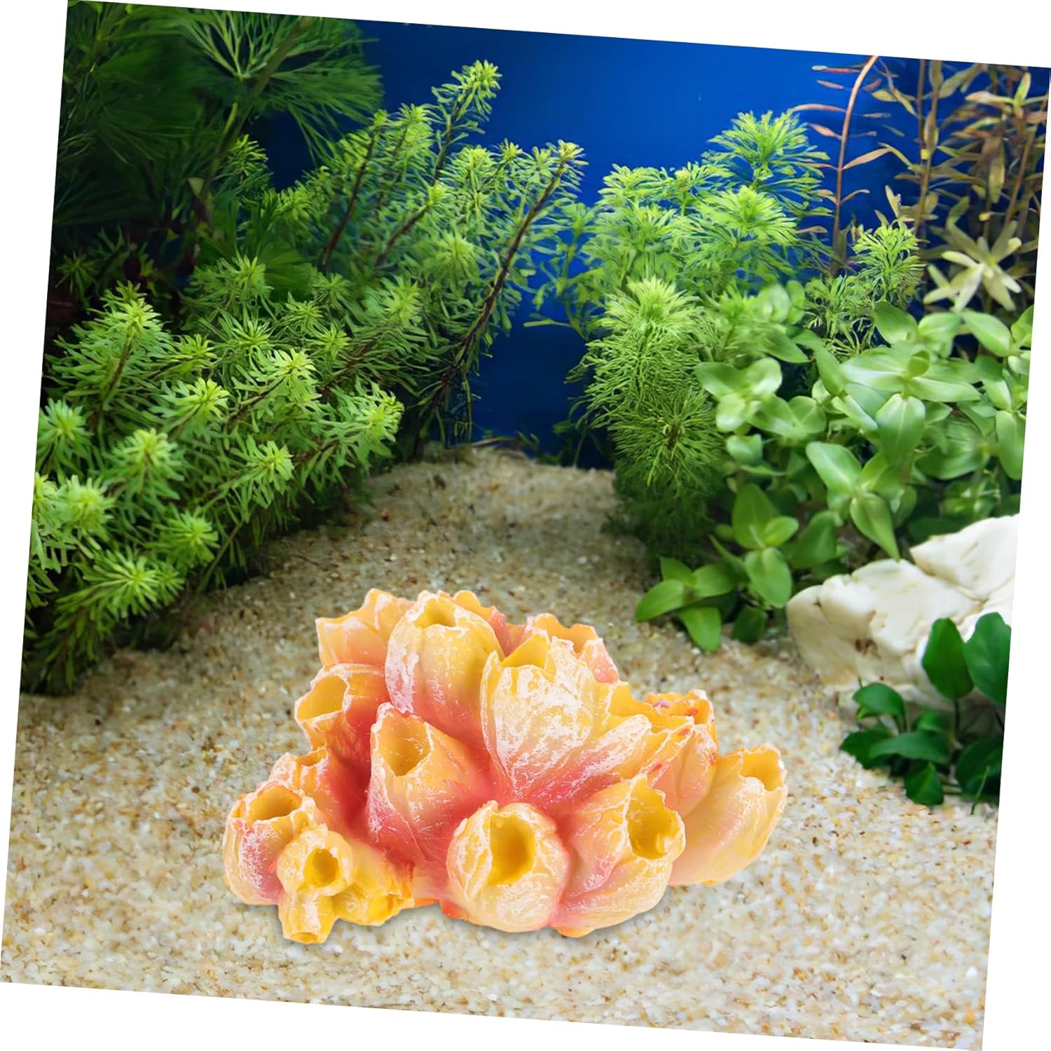 ibasenice 5pcs Aquarium Coral Decor Realistic Resin Fish Tank Decoration Creative Underwater Scene Anemone for Home Aquarium and Fish Tank Landscape