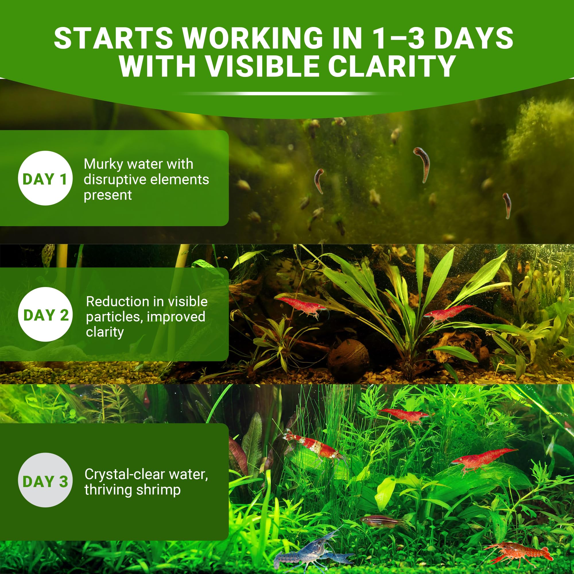 No Planaria & Hydra Trap, poudre d'équilibre pour aquarium, soutien 100 % naturel pour les problèmes causés par les intrus à corps plat, favorise une croissance saine et la reproduction des crevettes