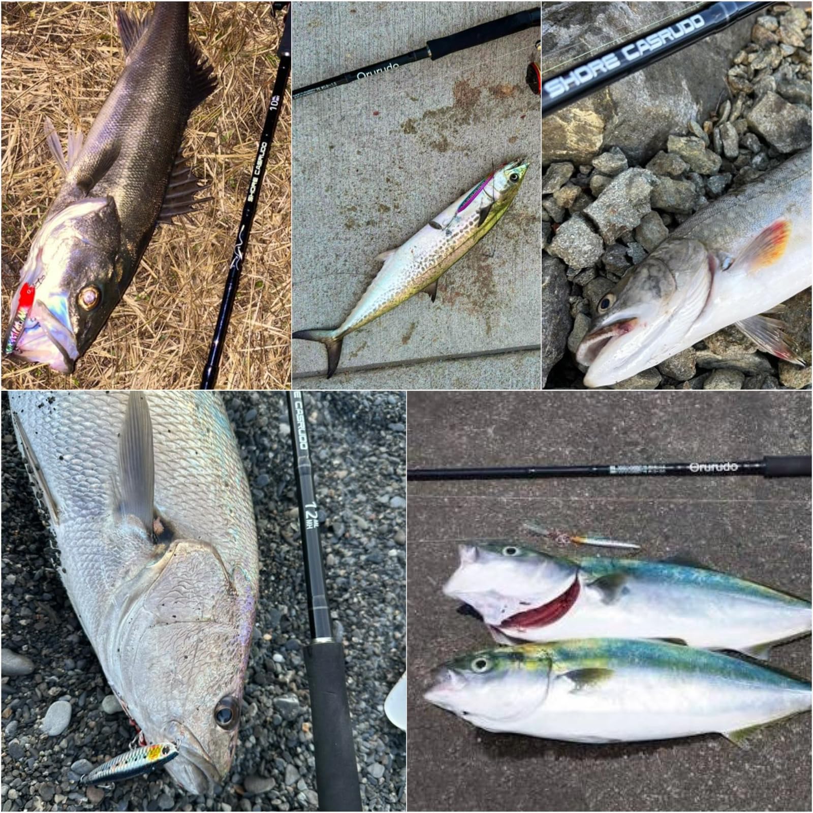 SHORE CASRUDO 12ML/12MH ショアジギングロッド 2本セット Amazon | オルルド釣具 ロッド 26ショアキャスルド 12ft ＆ 19FX4000 ロッド