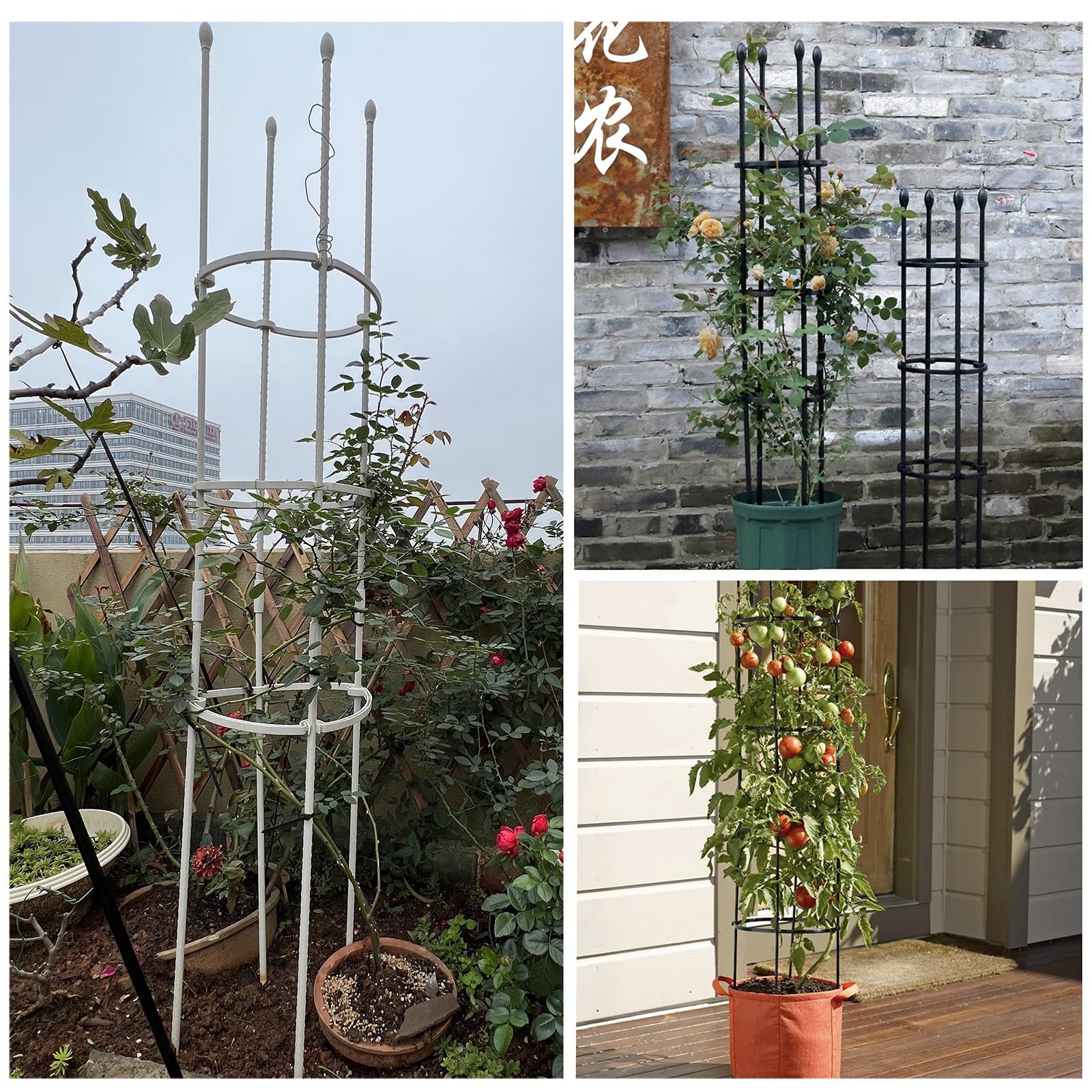 Garten Rankhilfe Aus Metall Für Topfpflanzen, Kletterrosen, Clematis, Freistehend Tomatenkäfig Pflanzenstütze Obelisk Klettergerüst Spalier, 1 Packung(Black,20x90cm)