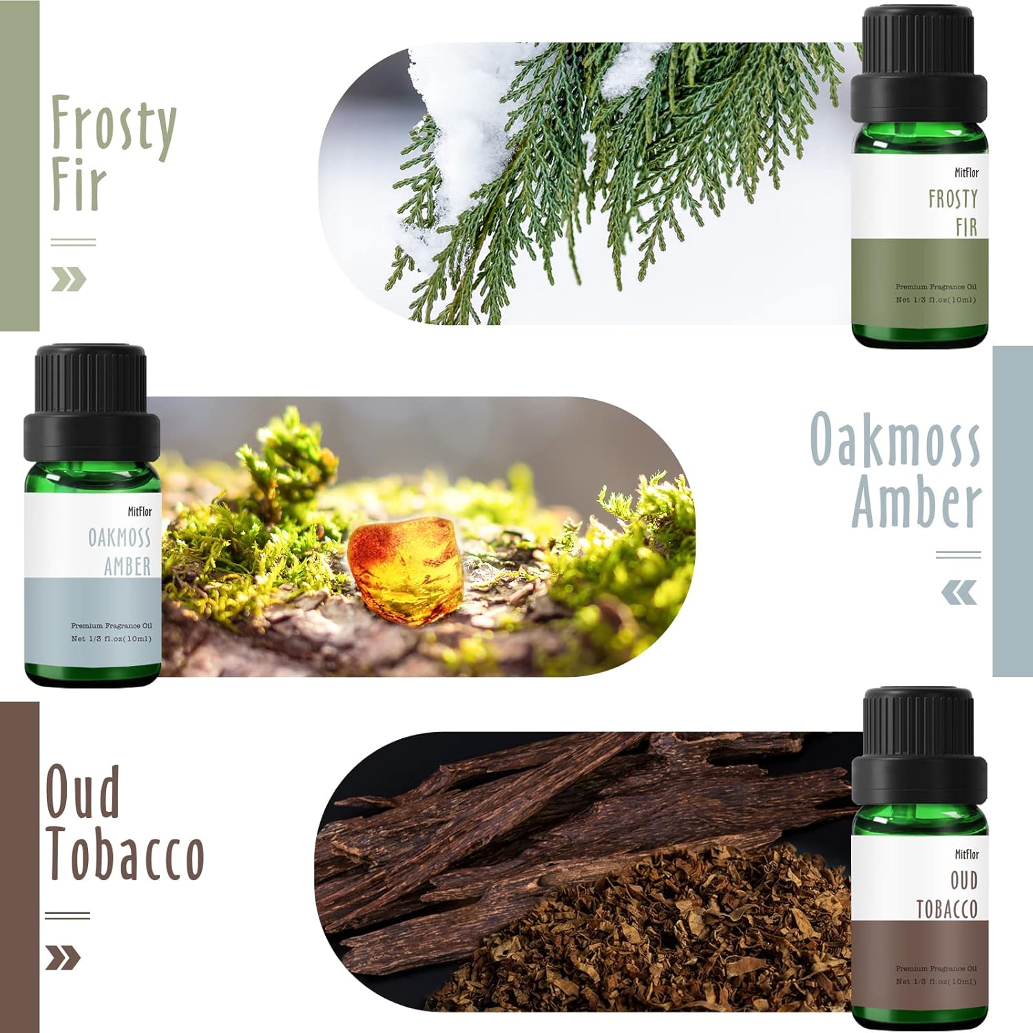 Fragrance Oil, MitFlor Woodland Set of Scented Essential Oils, 10ml x 6, Soap & Candle Making Scents, Essential Oils for Diffusers for Home, Pine Forest, Cedarwood, Oakmoss Amber & More - Image 3