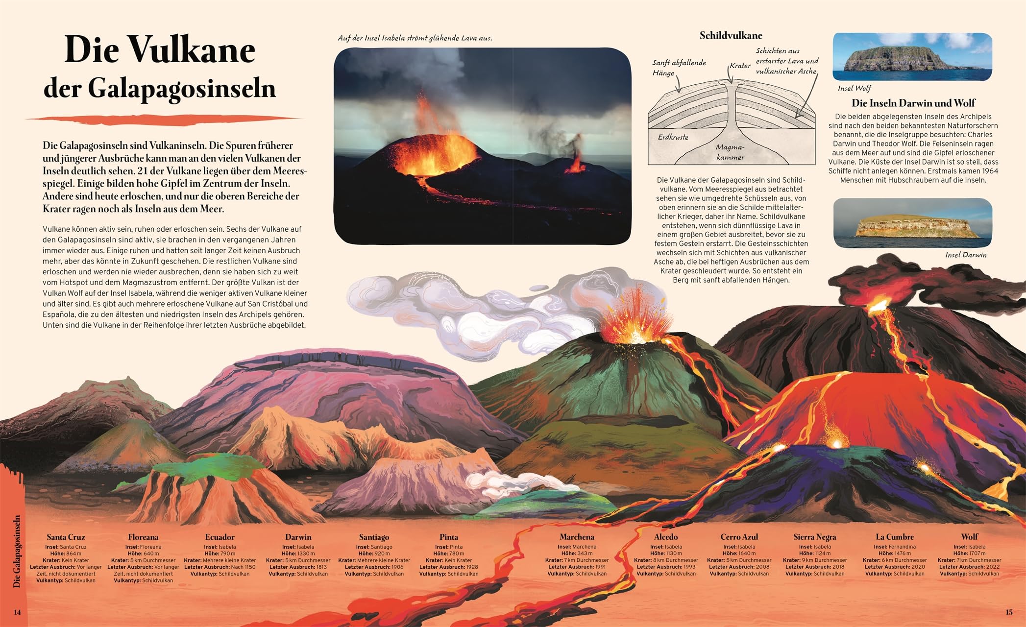 Galapagos: Eine Reise zu einzigartigen Vögeln, Reptilien und Meerestieren. Wunderschönes Naturbuch. Für Kinder ab 8 Jahren