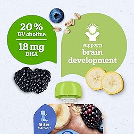 Gerber Organic Baby Food Pouches, 2nd Foods for Sitter, WonderFoods, Banana Blueberry Blackberry Oatmeal, 3.5 Ounce (Pack of 12)