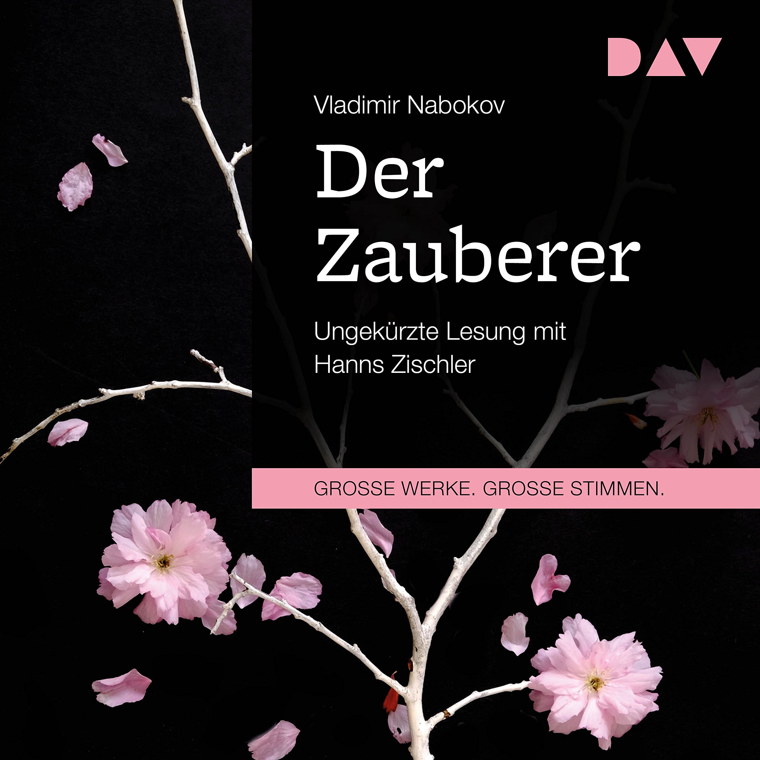 Cover art for Der Zauberer