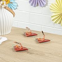 Vista 4 de Restaurantware Mini platos de aperitivo de 4 x 2 pulgadas, 100 platos triangulares desechables – Sirve muestras de aperitivos o aperitivos