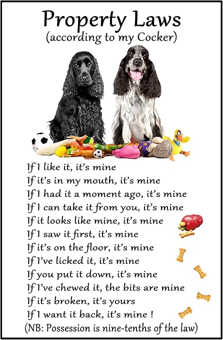 cocker spaniel gifts amazon