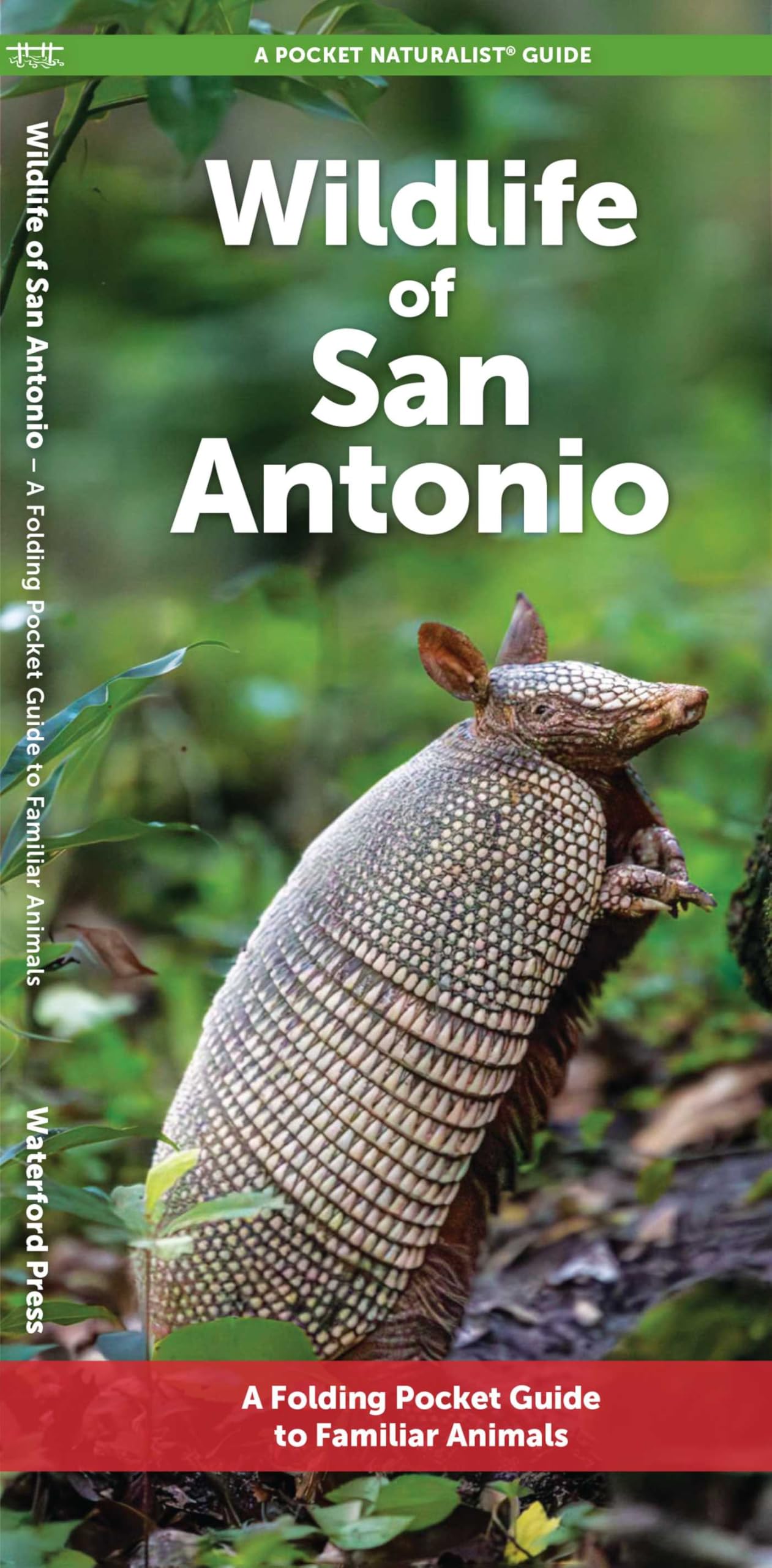 Wildlife of San Antonio: A Folding Pocket Guide to Familiar Animals (Nature Observation North America)