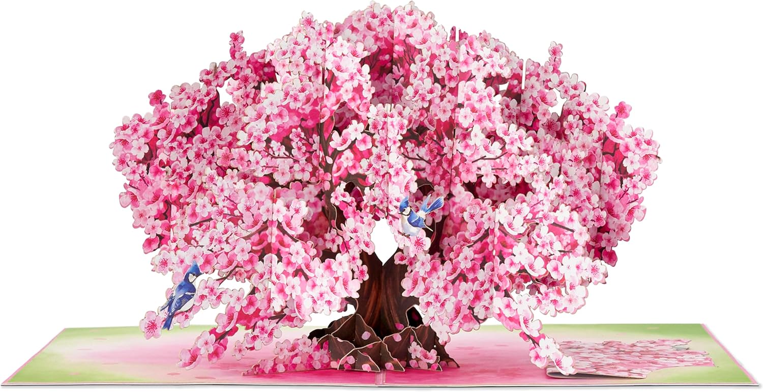 Bonsai Cherry Pop Up Cards, Blue Bird, 3D Greeting Cards, Gift for Birthday, Mothers Day, Anniversary, Valentines Day, Mom, Wife, Her, Girlfriend, 5x7 - Includes Envelope And Message Note - Image 2