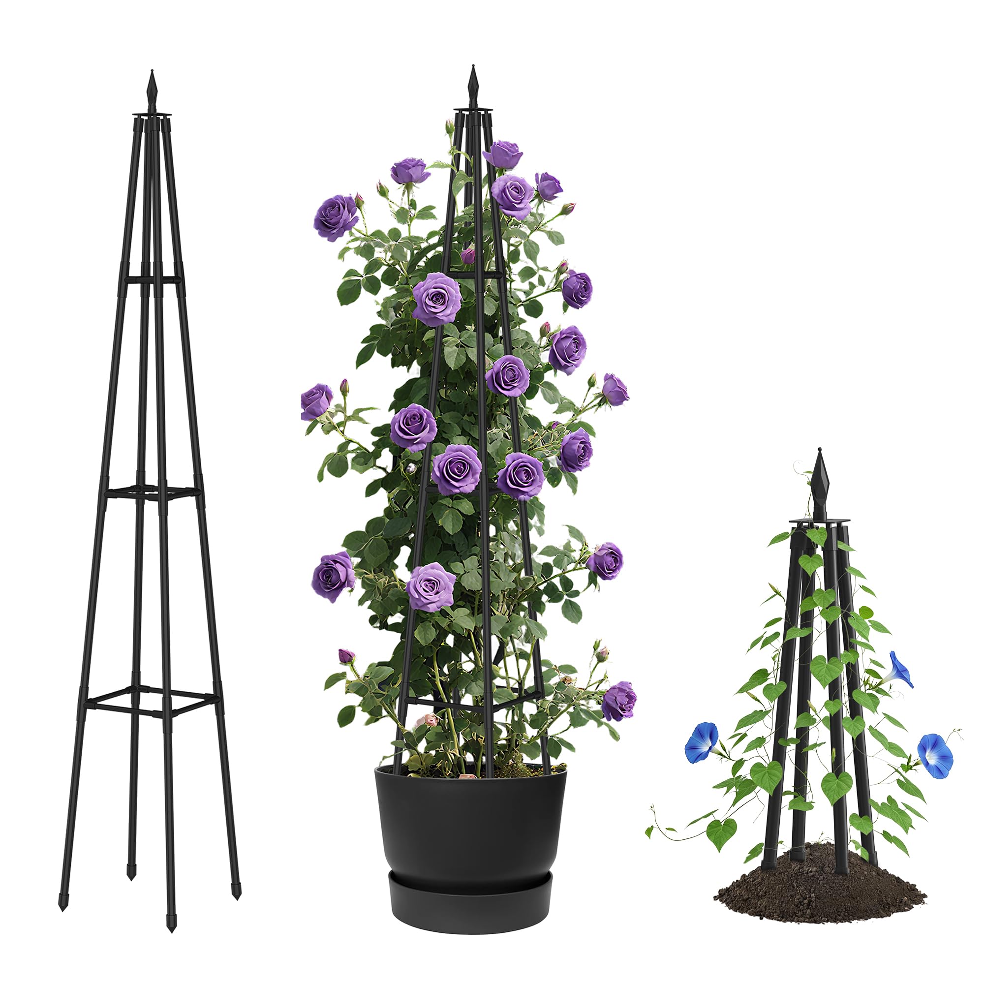 Alisisfores Obelisk Trellis