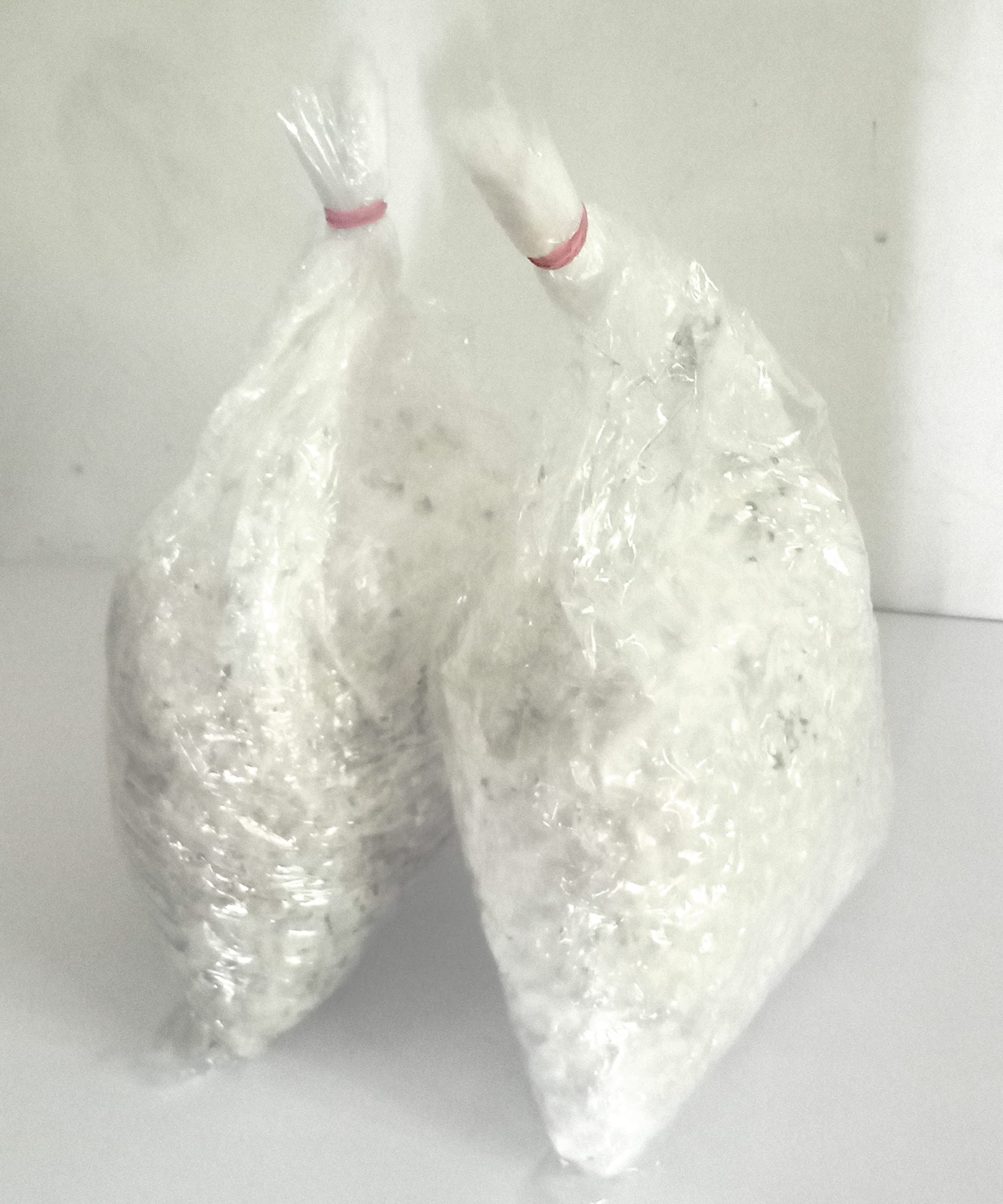 Monday Square Generation One High Yield Oyster Mushroom Spawn/Seeds Edible Co2 Variety 200 G Set Of 1 (200 G Each)+2 Poly Bag" (B09H7J3TSP) Amazon Price History, Amazon Price Tracker